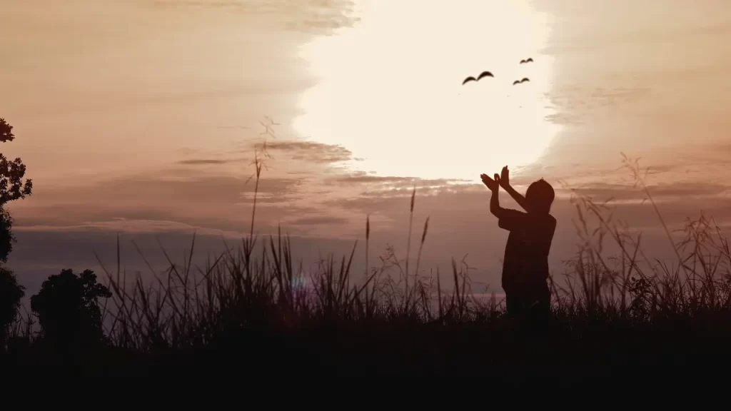 por que continuar quando nada faz sentido