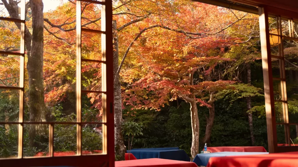 influência das mudanças de estações