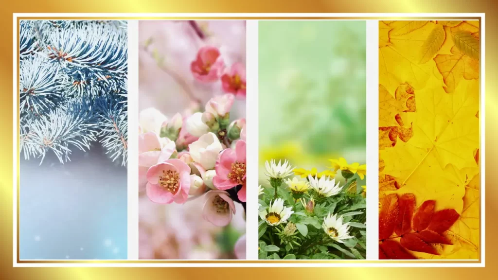 influência das mudanças de estações