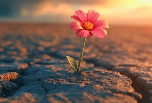 terremoto no Afeganistão