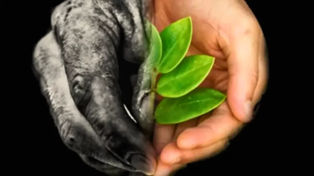 terremoto no Afeganistão