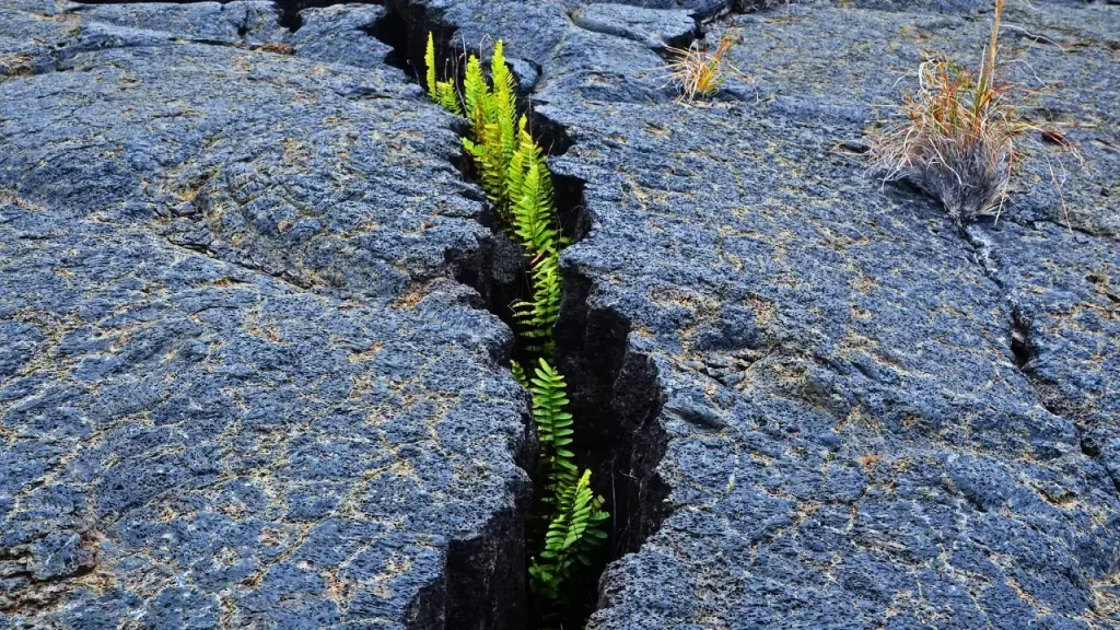 terremoto no Afeganistão